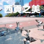 西貢之美在於其獨特的城市風貌與歷史文化交織。從繁華的阮惠步行街到古老的西貢聖母大教堂，每一處都散發著無與倫比的魅力。