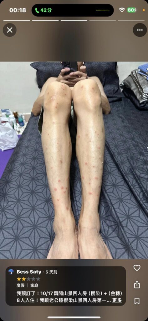 偷懶不是只有人類的專利
