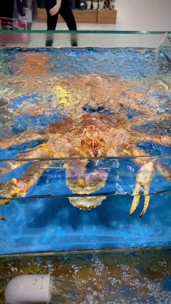 品嚐海鮮的最佳選擇